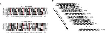 Neural Correlates of Auditory Pattern Learning in the Auditory Cortex